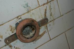 Plumbing Urinal Flush Valve Rebuild - Plumbing
