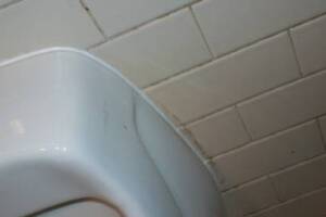 Plumbing Urinal Flush Valve Rebuild - Plumbing