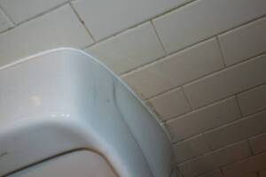 Plumbing Urinal Flush Valve Rebuild - Plumbing