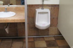 Plumbing Urinal Leaking Flush Valve - Plumbing