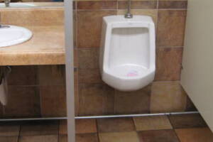 Plumbing Urinal Leaking Flush Valve - Plumbing