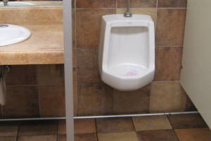 Plumbing Urinal Leaking Flush Valve - Plumbing