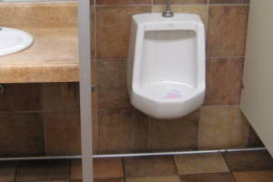 Plumbing Urinal Leaking Flush Valve - Plumbing