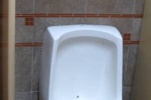 Plumbing Urinal Waterless Clogged Cleaning - Plumbing