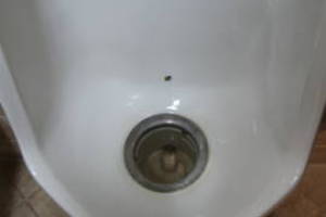 Plumbing Urinal Waterless Clogged Cleaning - Plumbing