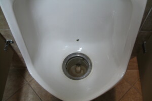 Plumbing Urinal Waterless Clogged Cleaning - Plumbing