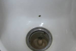Plumbing Urinal Waterless Clogged Cleaning - Plumbing