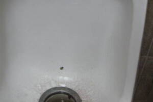 Plumbing Urinal Waterless Clogged Cleaning - Plumbing