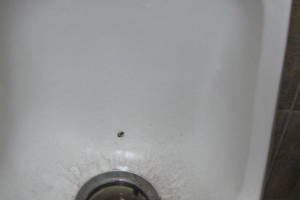 Plumbing Urinal Waterless Clogged Cleaning - Plumbing