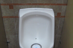 Plumbing Urinal Waterless Clogged Cleaning - Plumbing