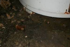 Plumbing Water Heater Replaced Repairs - Plumbing