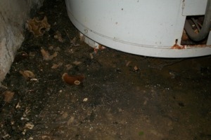 Plumbing Water Heater Replaced Repairs - Plumbing