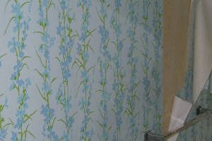Remodel Bathroom Bath Paint - Remodeling