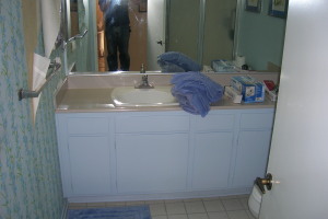 Remodel Bathroom Bath Paint - Remodeling