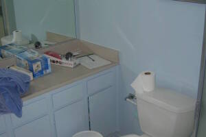 Remodel Bathroom Bath Paint - Remodeling