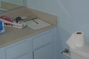 Remodel Bathroom Bath Paint - Remodeling