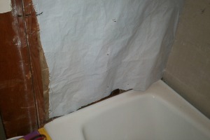 Remodel Bathroom Complete Redone - Remodeling