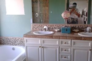 Remodel Bathroom Dryrot Repairs - Remodeling