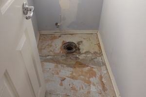 Remodel Bathroom Dryrot Repairs - Remodeling