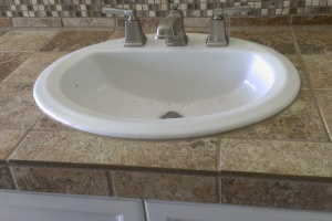 Remodel Bathroom Dryrot Repairs - Remodeling