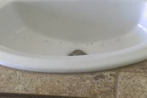 Remodel Bathroom Dryrot Repairs - Remodeling