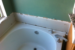 Remodel Bathroom Dryrot Repairs - Remodeling