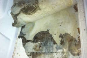 Remodel Bathroom Dryrot Repairs - Remodeling