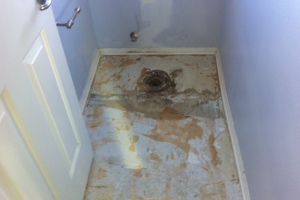 Remodel Bathroom Dryrot Repairs - Remodeling