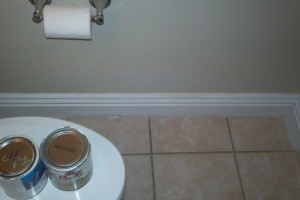 Remodel Bathroom Paint Plumbing Repairs - Remodeling