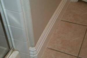 Remodel Bathroom Paint Plumbing Repairs - Remodeling