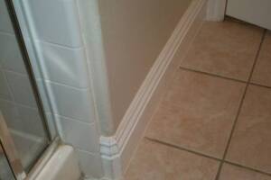 Remodel Bathroom Paint Plumbing Repairs - Remodeling