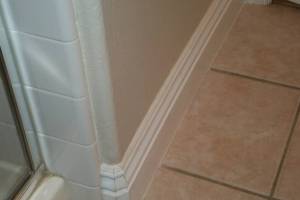 Remodel Bathroom Paint Plumbing Repairs - Remodeling
