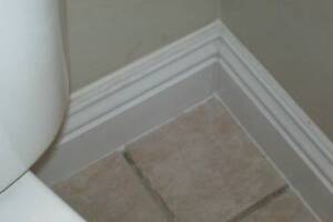 Remodel Bathroom Paint Plumbing Repairs - Remodeling