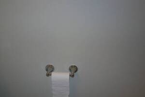 Remodel Bathroom Paint Plumbing Repairs - Remodeling