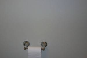 Remodel Bathroom Paint Plumbing Repairs - Remodeling
