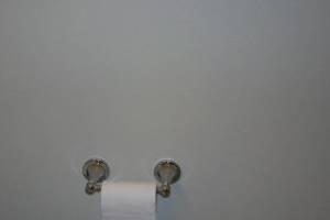 Remodel Bathroom Paint Plumbing Repairs - Remodeling