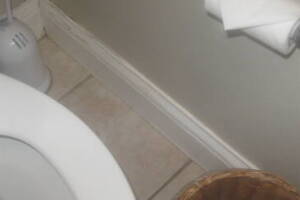 Remodel Bathroom Paint Plumbing Repairs - Remodeling