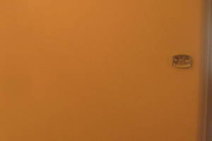 Remodel Bathroom Paint Plumbing Repairs - Remodeling