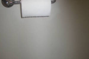 Remodel Bathroom Paint Plumbing Repairs - Remodeling