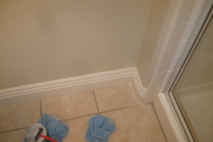 Remodel Bathroom Paint Plumbing Repairs - Remodeling