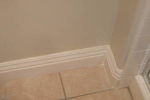 Remodel Bathroom Paint Plumbing Repairs - Remodeling
