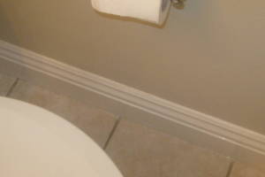 Remodel Bathroom Paint Plumbing Repairs - Remodeling