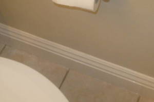 Remodel Bathroom Paint Plumbing Repairs - Remodeling
