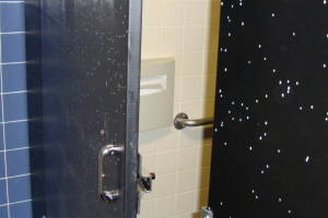 Remodel Bathroom Restroom Partitions Replaced - Remodeling