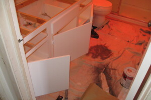 Remodel Bathroom Whole Facelift - Remodeling