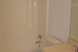 Remodel Bathroom Whole Facelift - Remodeling