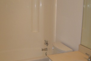 Remodel Bathroom Whole Facelift - Remodeling