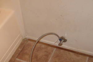 Remodel Bathroom Whole Facelift - Remodeling