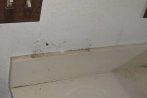 Remodel Bathroom Whole Facelift - Remodeling