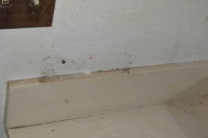 Remodel Bathroom Whole Facelift - Remodeling